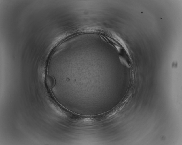 X0000097830059200803281210