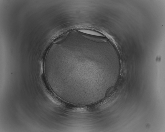 X0000097830061200803281210