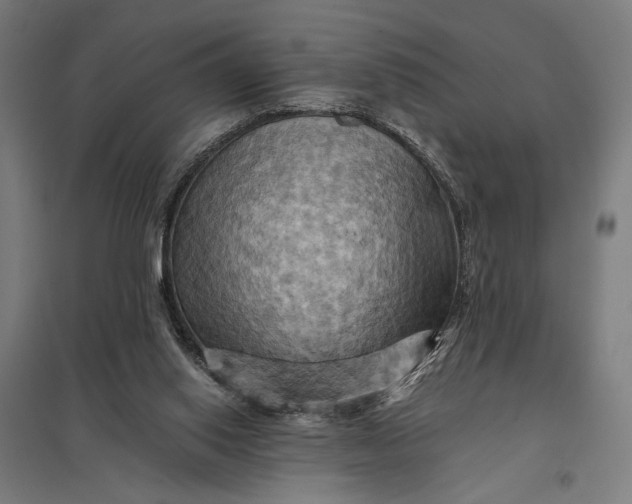 X0000097830062200803281210