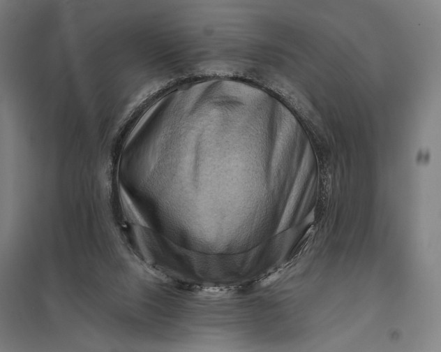 X0000097830064200803281210