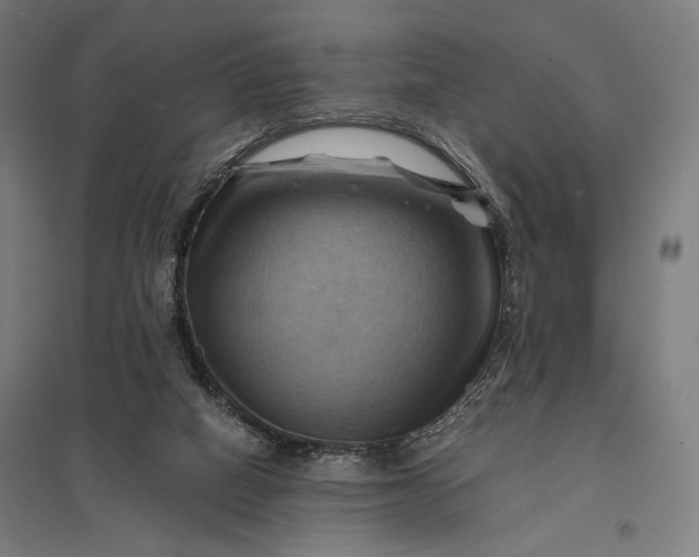 X0000097830066200803281210