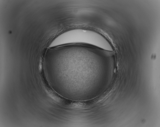 X0000097830069200803281210