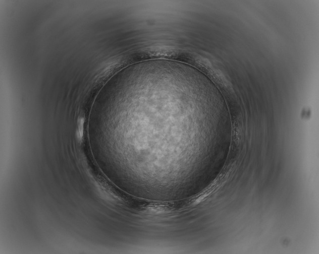 X0000097830070200803281210