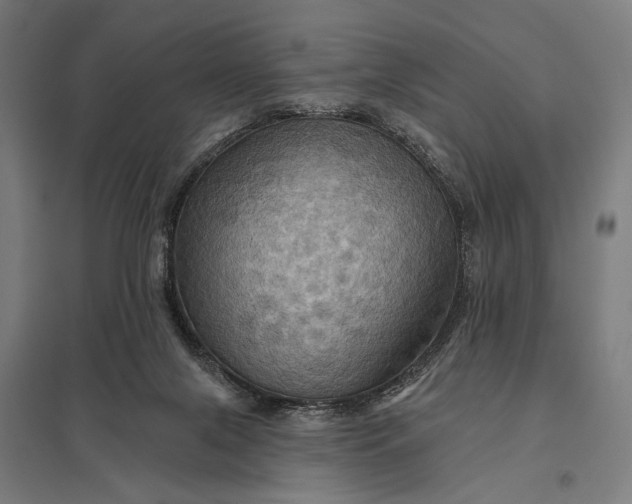 X0000097830071200803281210