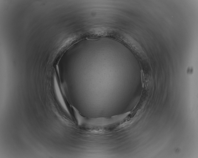 X0000097830072200803281210