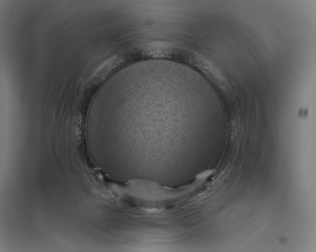 X0000097830073200803281210