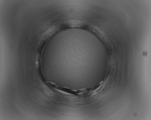 X0000097830074200803281210