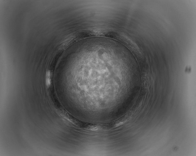 X0000097830075200803281210