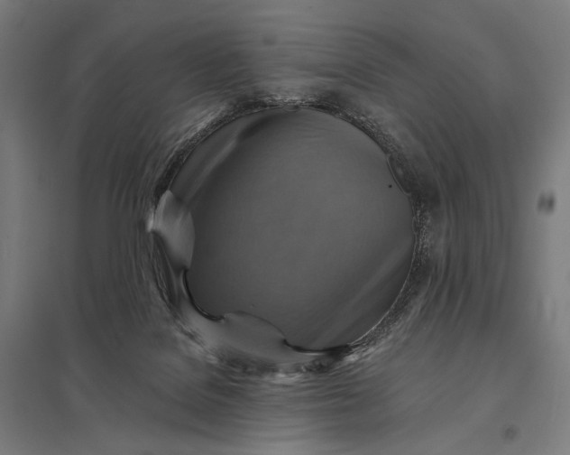 X0000097830076200803281210