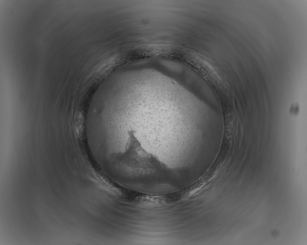 X0000097830077200803281210