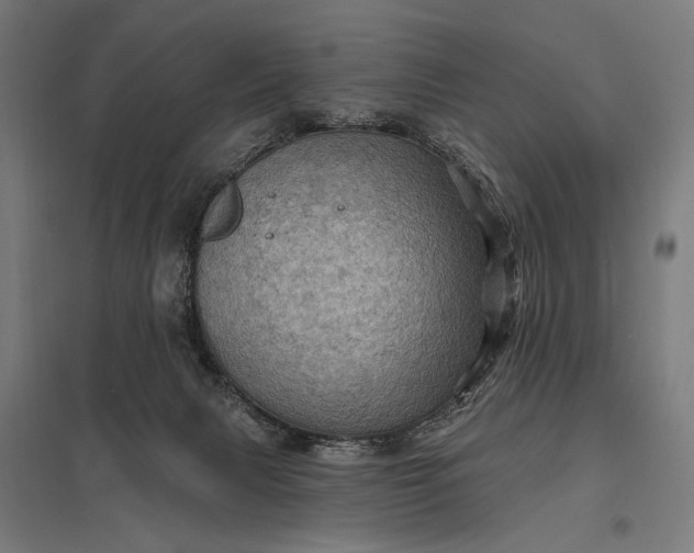 X0000097830079200803281210