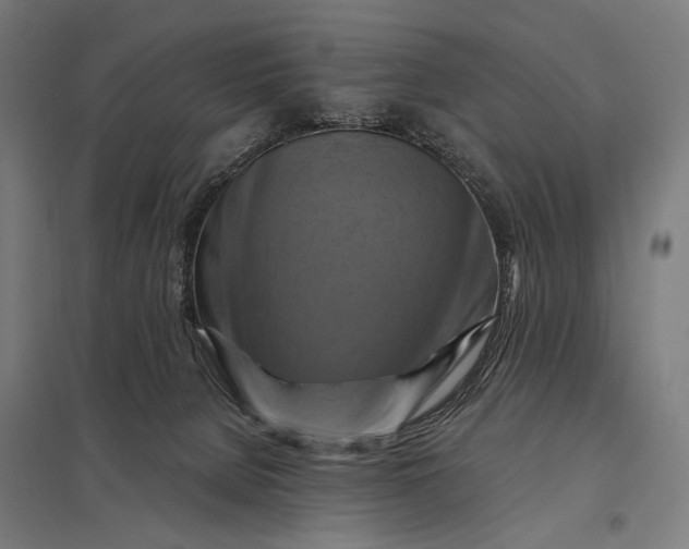 X0000097830080200803281211