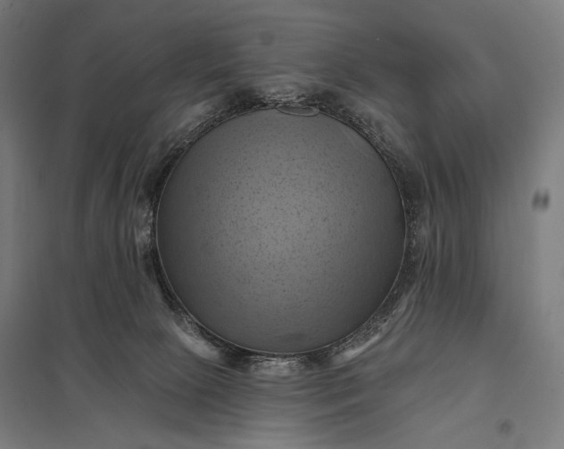 X0000097830081200803281211