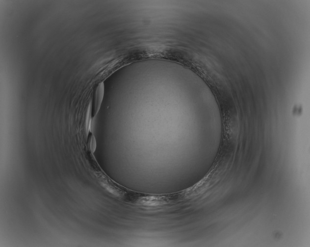 X0000097830082200803281211