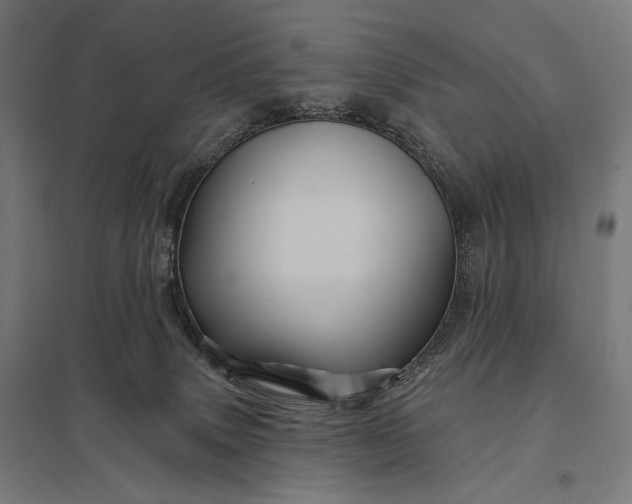 X0000097830083200803281211