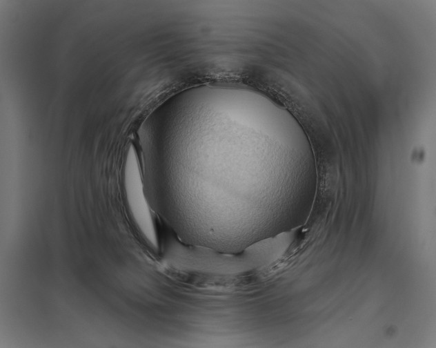 X0000097830084200803281211