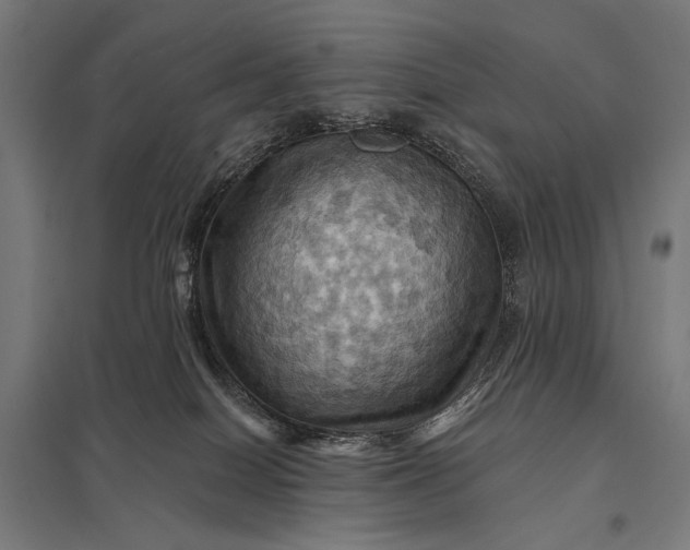 X0000097830086200803281211