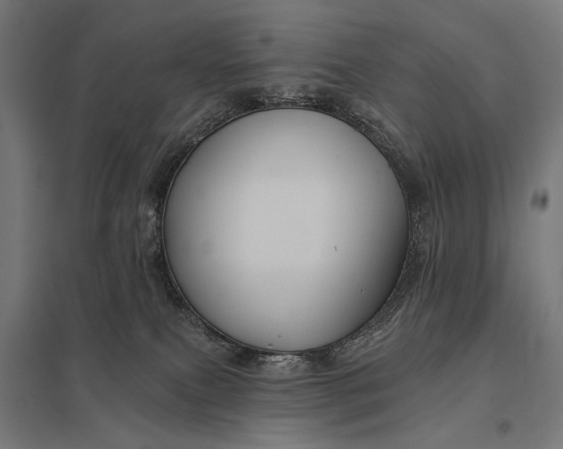 X0000097830087200803281211