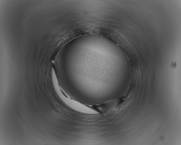 X0000097830088200803281211