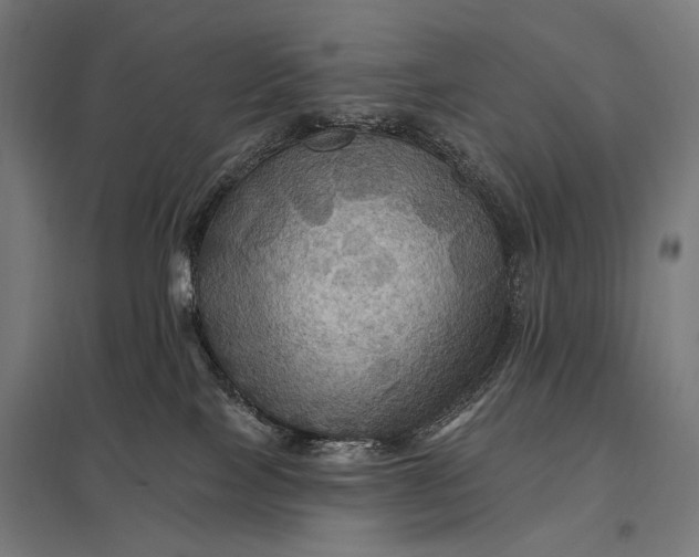 X0000097830089200803281211