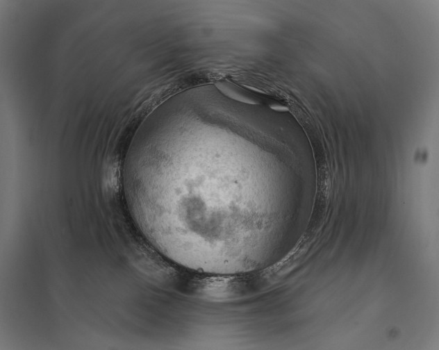 X0000097830090200803281211