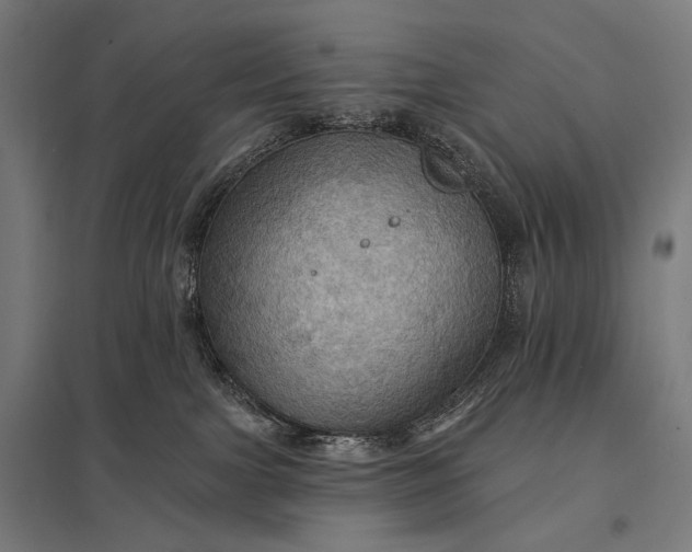 X0000097830091200803281211