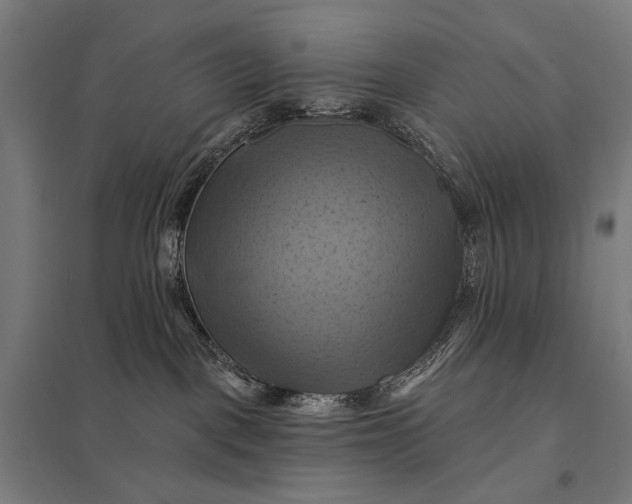 X0000097830093200803281211