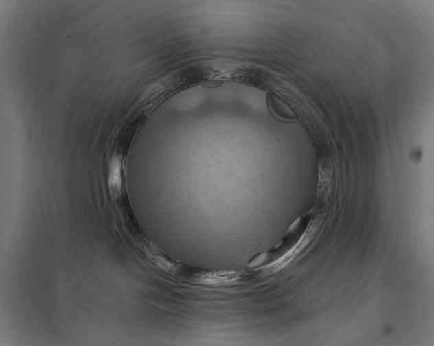 X0000097830094200803281211