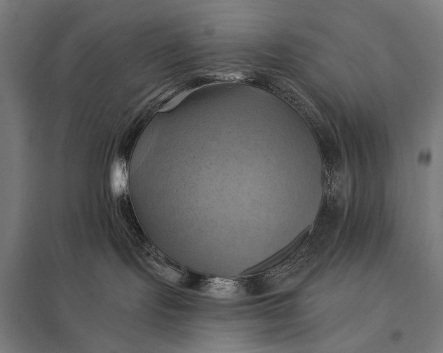 X0000097830095200803281211