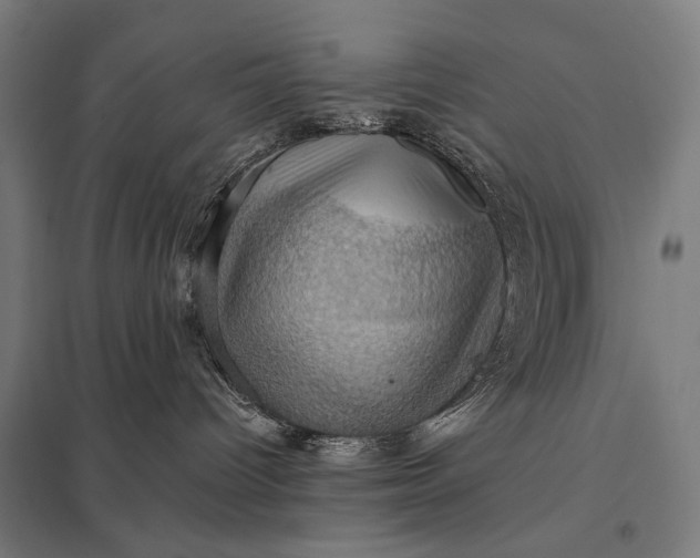 X0000097830096200803281211