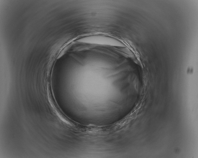 X0000097830097200803281210