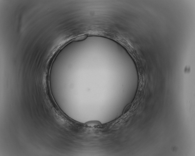 X0000097830098200803281210