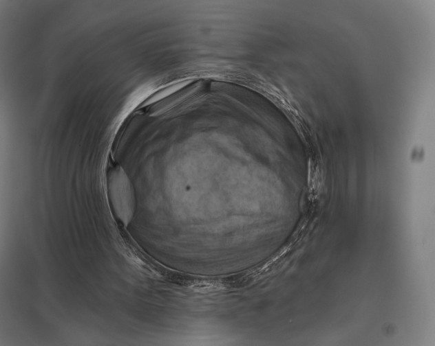 X0000097830099200803281210