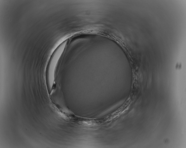 X0000097830100200803281210