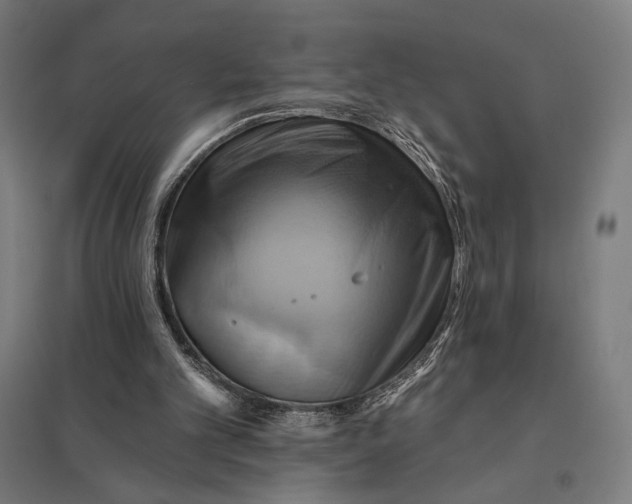 X0000097830101200803281210