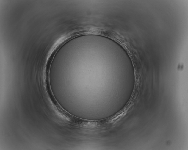 X0000097830102200803281210