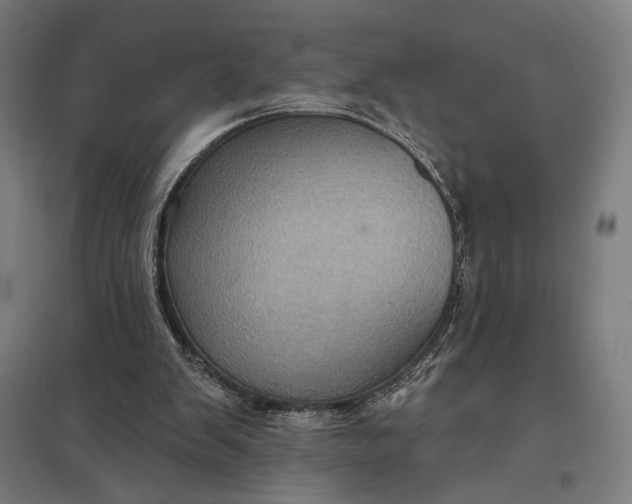 X0000097830103200803281210