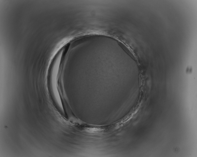 X0000097830104200803281210