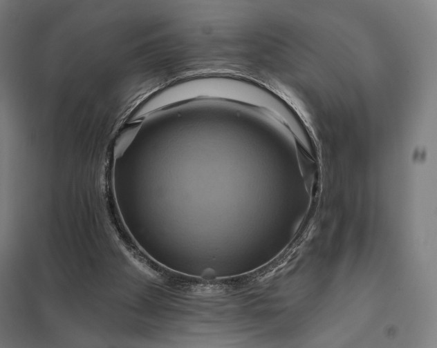 X0000097830105200803281210