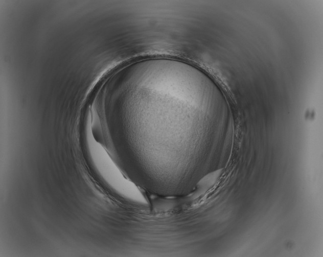 X0000097830108200803281210