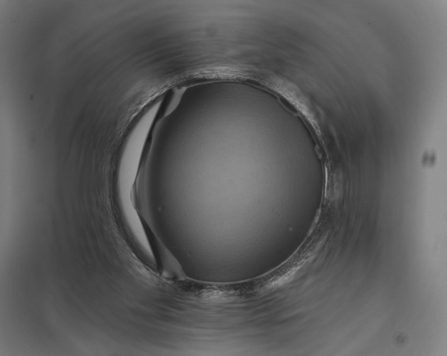 X0000097830109200803281210