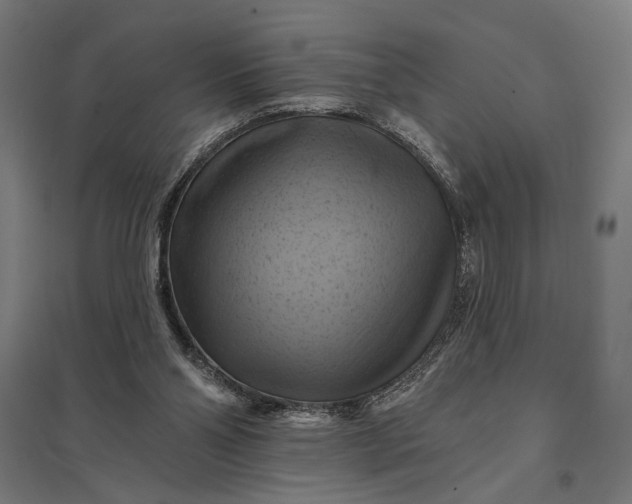 X0000097830110200803281210