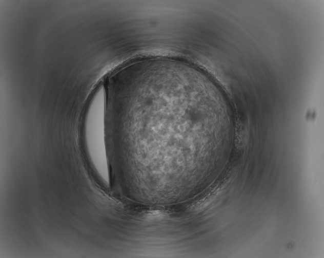 X0000097830111200803281210