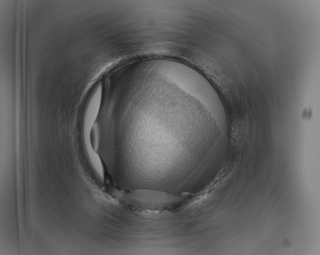 X0000097830112200803281210