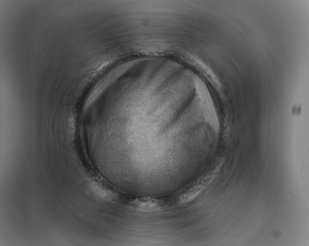 X0000097830113200803281210