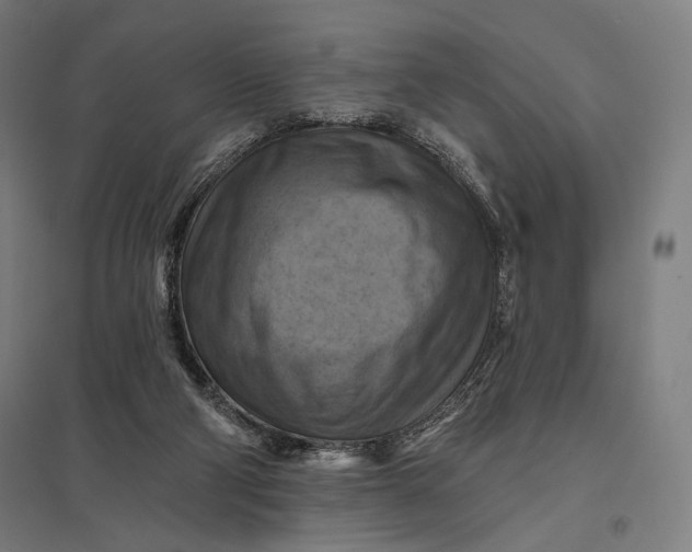 X0000097830114200803281210