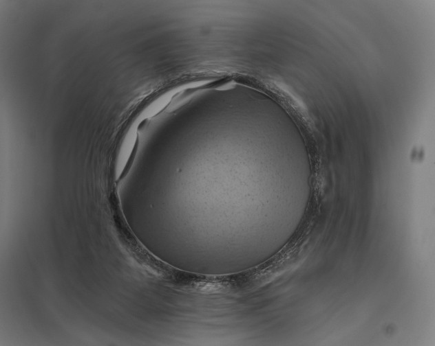 X0000097830115200803281210