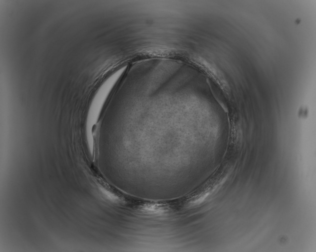 X0000097830117200803281210