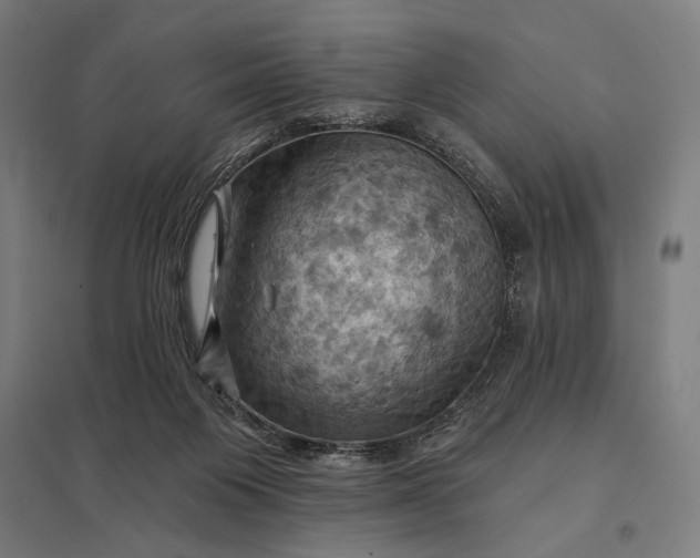 X0000097830119200803281210