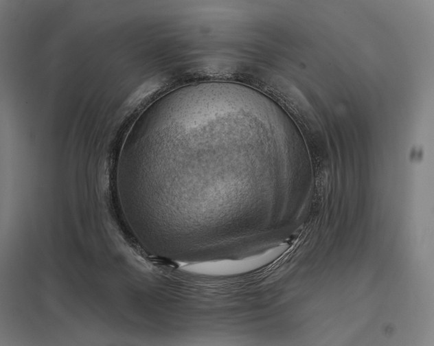 X0000097830120200803281210